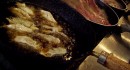 fryingpans