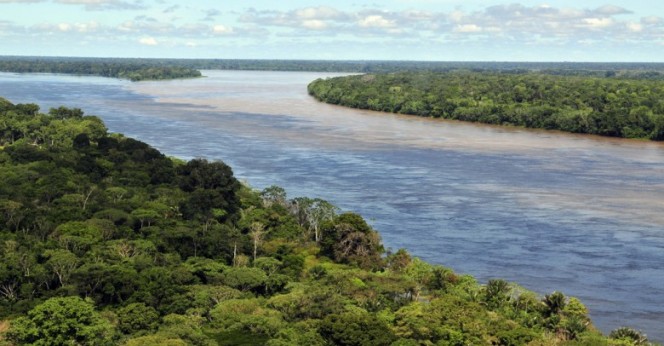 rainforest_brazil Bild: CIAT International Center for Tropical Agriculture