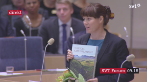 Foto: Skärmdump från SVT