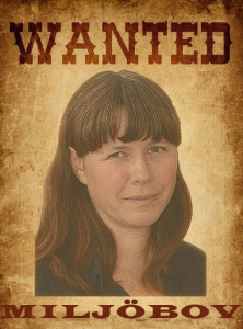 En av bilderna från sajten Rödgrön röra.