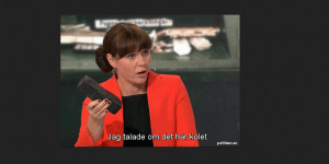 Skärmbild från politism.se