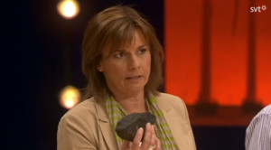 Skärmdump från SVT