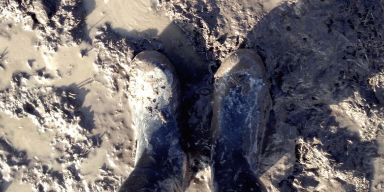 Foto: Emma Samuelsson