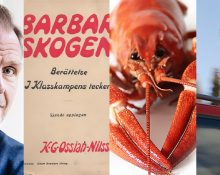 Porträttbild på chefredaktör Jonas Nordling, boken Barbarskogen, en kräfta och Mattias Karlsson (SD)
