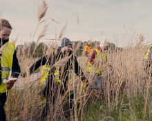 En skallgångskedja av personer i gula varselvästar som går bredvid varandra genom vass