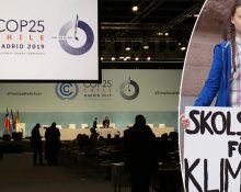 En bild som visar en förhandlingssal under miljötoppmötet COP25 och en bild på Greta Thunberg och hennes nu ikoniska skylt med texten Skolstrejk för klimatet