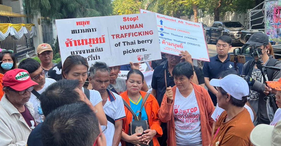 De thailändska bärplockarna protesterar.